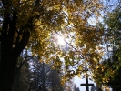 „Cztery pory roku – jesień” – Wacław Lęcznar