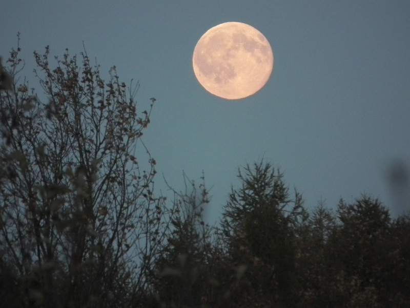 Księżyc w pełni - Malinowski Grzegorz