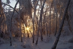 Zachód słońca w zimie - Bembenik Rafał
